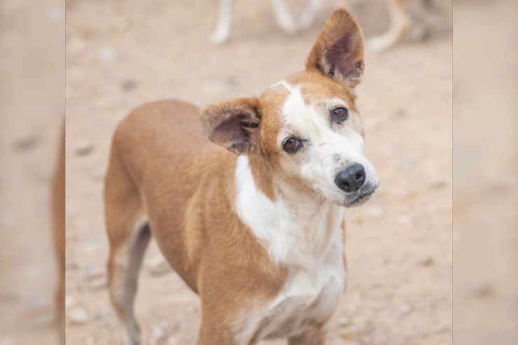 Gina - aktuell in Spanien