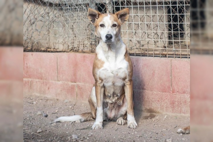 Gina - aktuell in Spanien