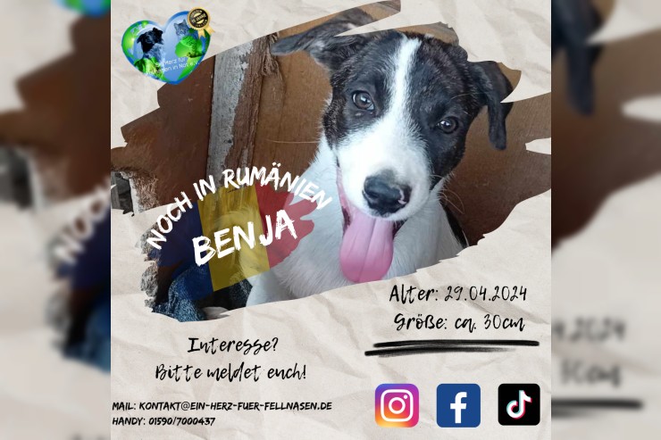 Benja