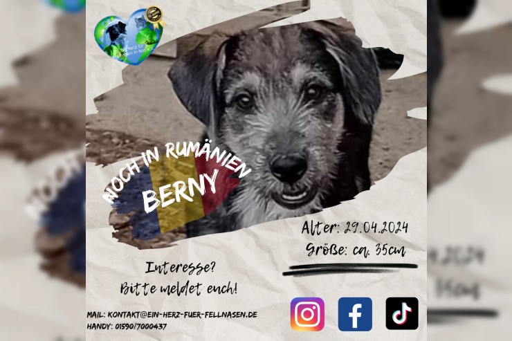 Berny