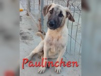 Paulinchen