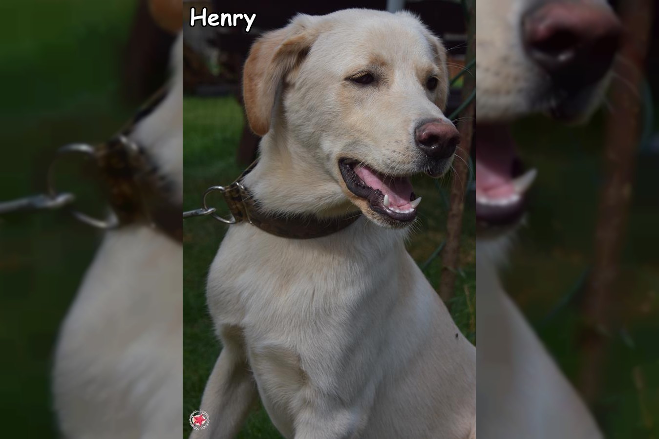 Henry