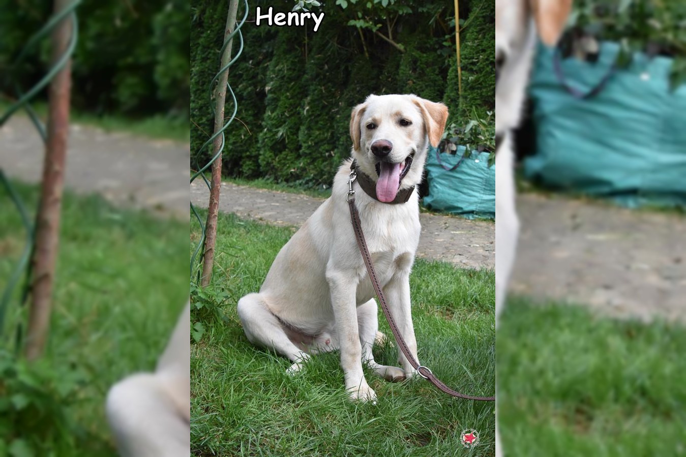 Henry