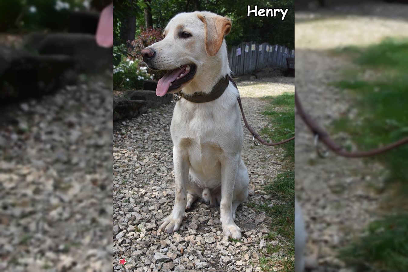 Henry