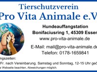 Pro Vita Animale e.V. Hundeauffangstation