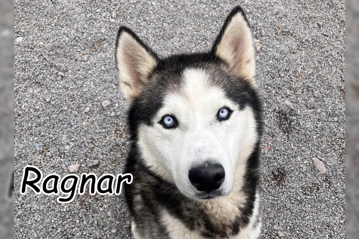 Ragnar