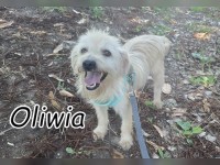 Oliwia