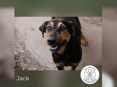 Jack