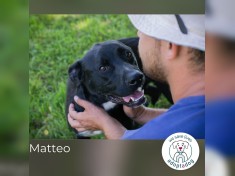 Matteo