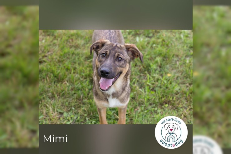 Mimi