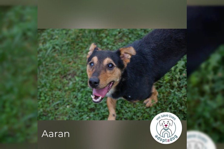 Aaran