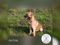 Archie