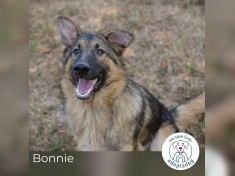 Bonnie