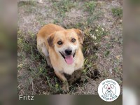 Fritz