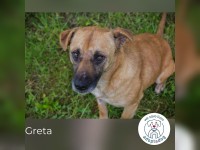 Greta