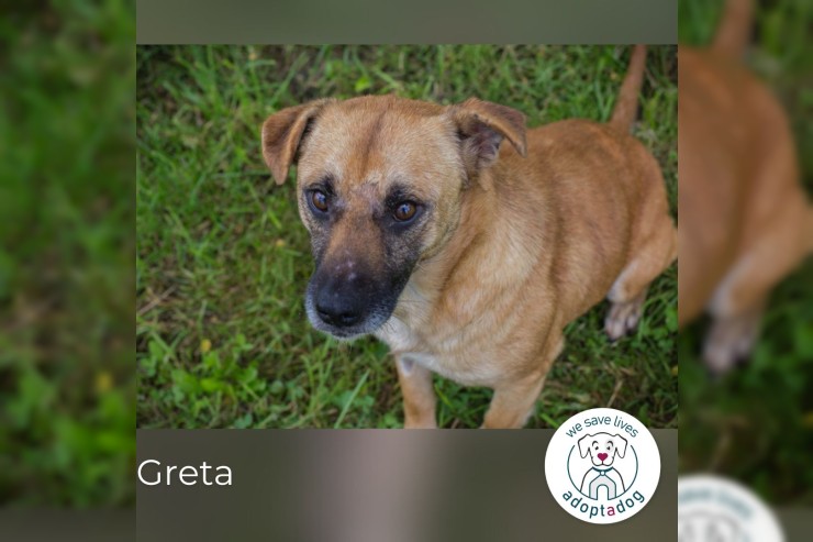 Greta