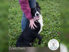 Gretchen