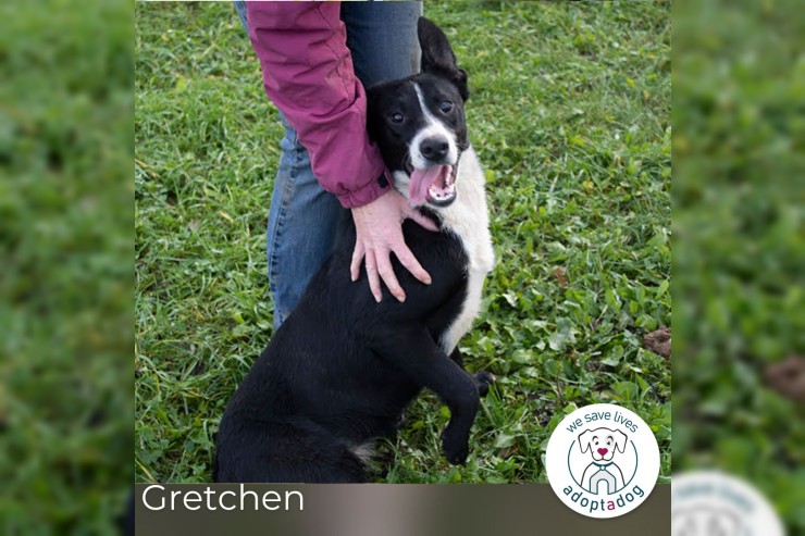 Gretchen