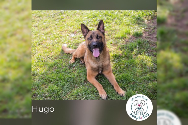 Hugo