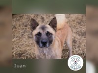 Juan