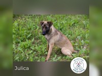 Julica