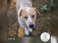 Lena