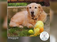 Maggie