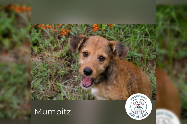 Mumpitz