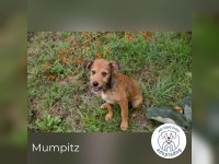 Mumpitz