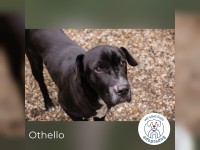 Othello