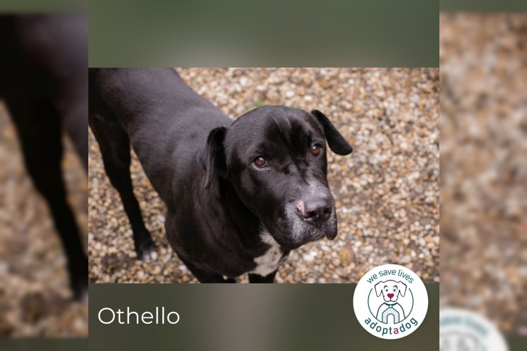 Othello