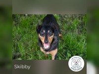 Skibby