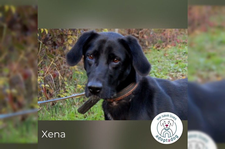 Xena