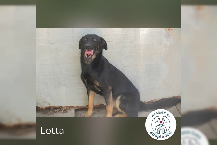 Lotta