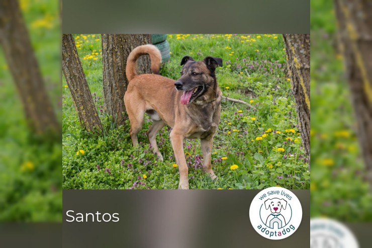 Santos