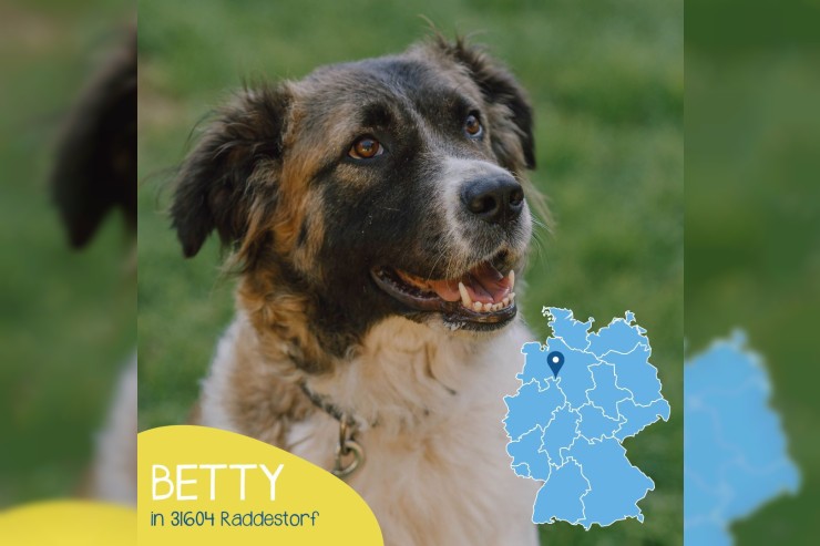 Betty