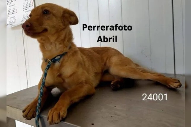 Abril