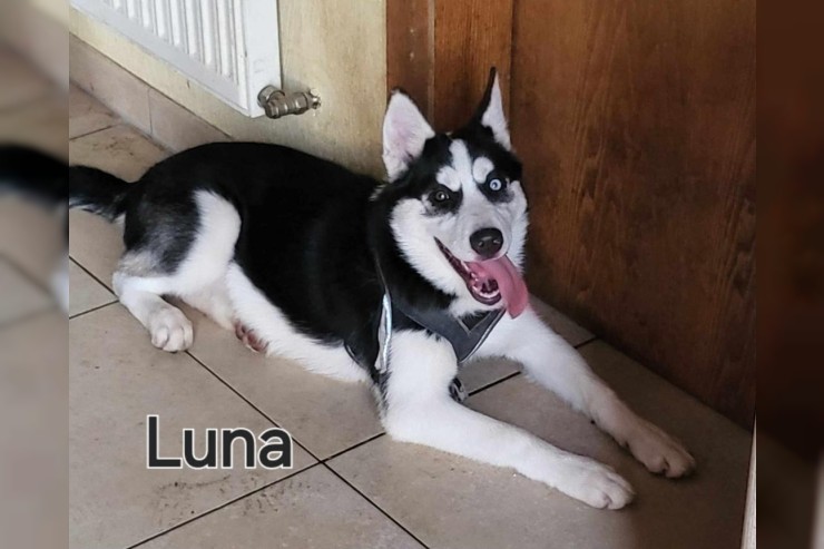 Luna