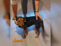 Nomi