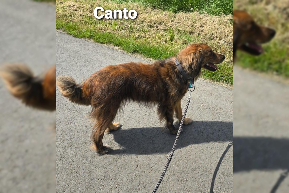 Canto