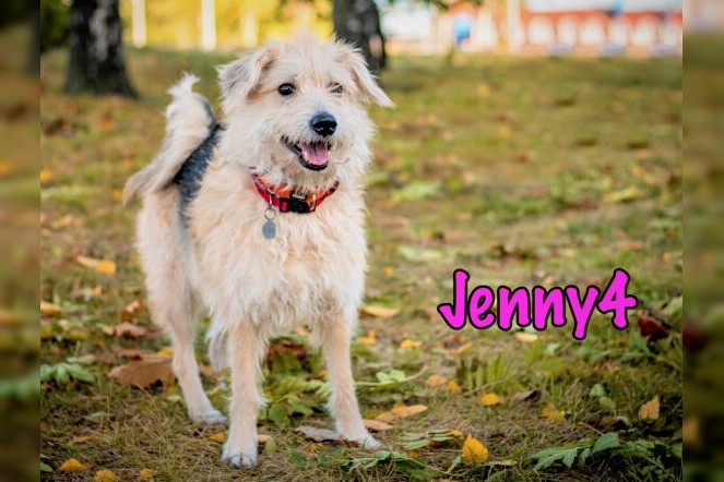 Jenny4