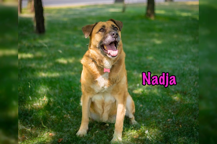 Nadja