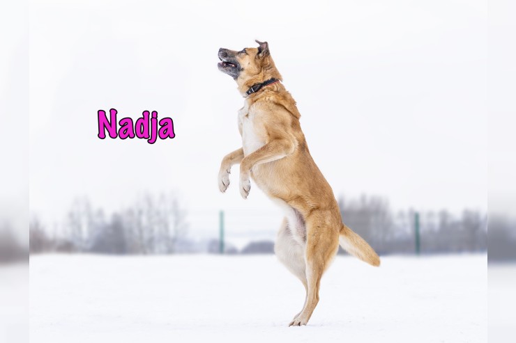 Nadja