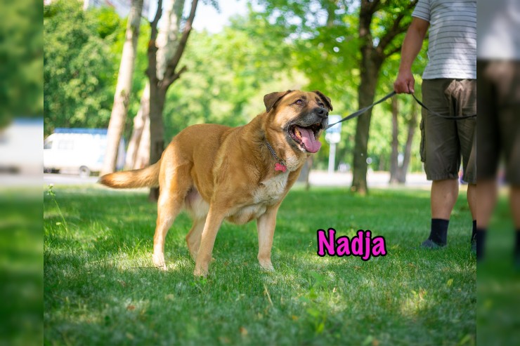 Nadja