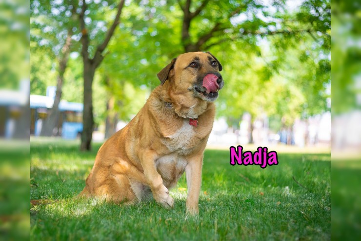 Nadja