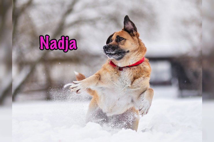 Nadja