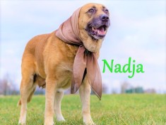 Nadja