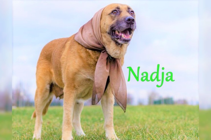 Nadja