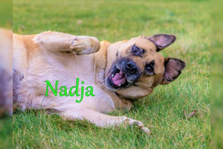 Nadja