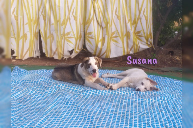 Susana